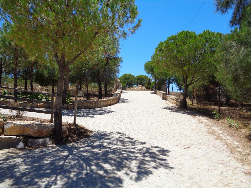 Casa De Campo Vale Do Asno Altura Dış mekan fotoğraf